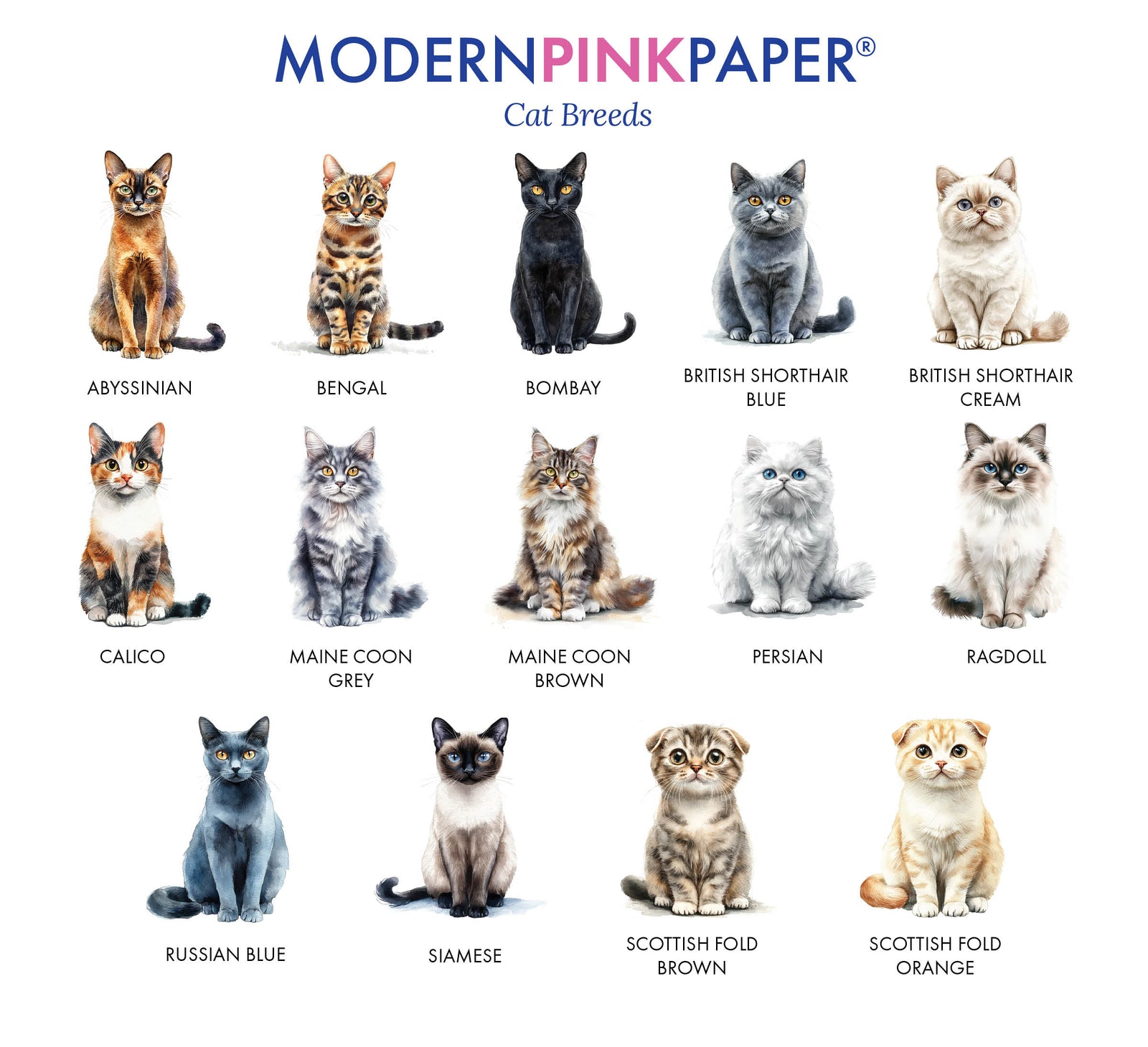 Elegant Personalized Cat Stationery Notecards With Envelopes