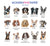 Personalized Beagle Thank You Cards Or Choose Your Dog Breed